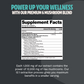 Organic Mushroom Complex Supplement Capsules